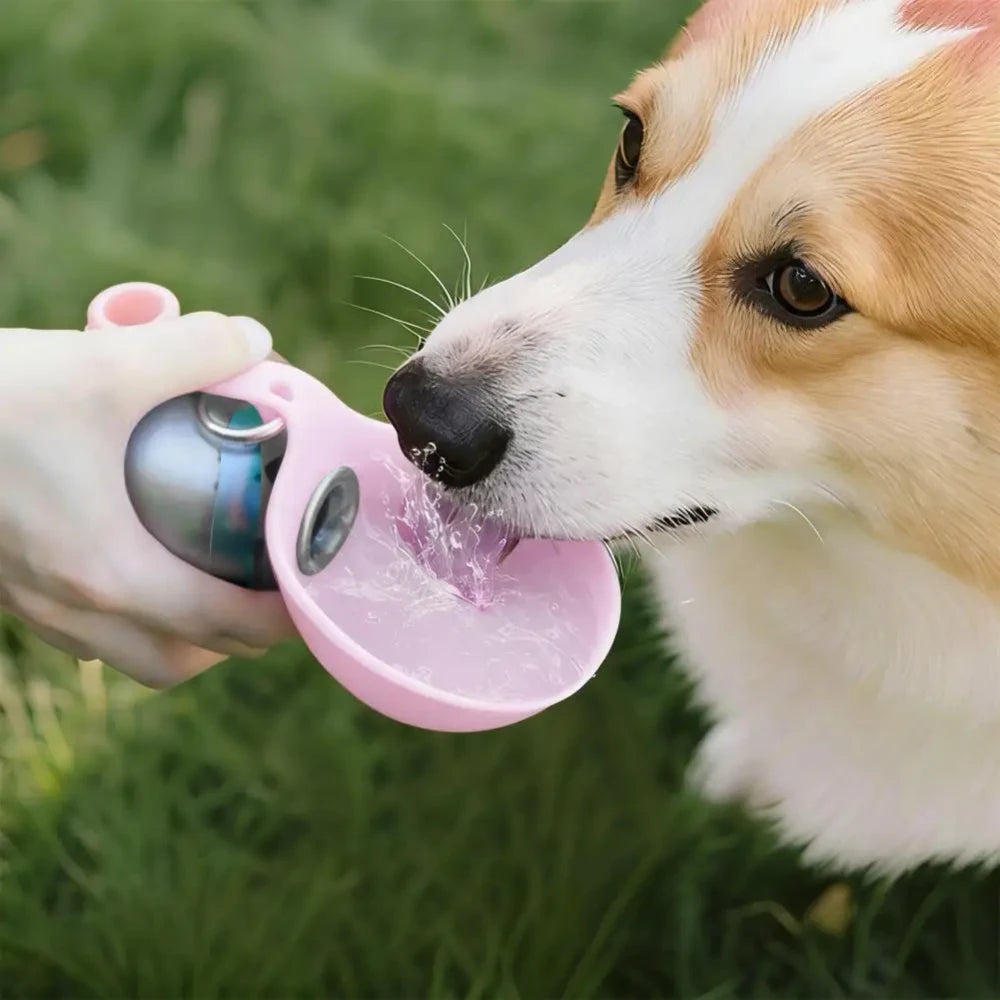 Spherical Pet Water Bottle