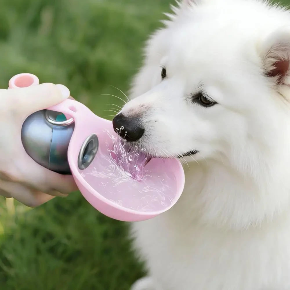 Spherical Pet Water Bottle
