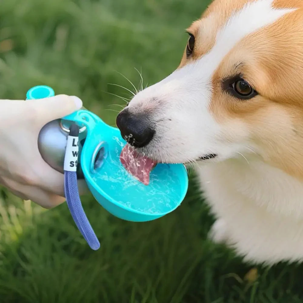 Spherical Pet Water Bottle